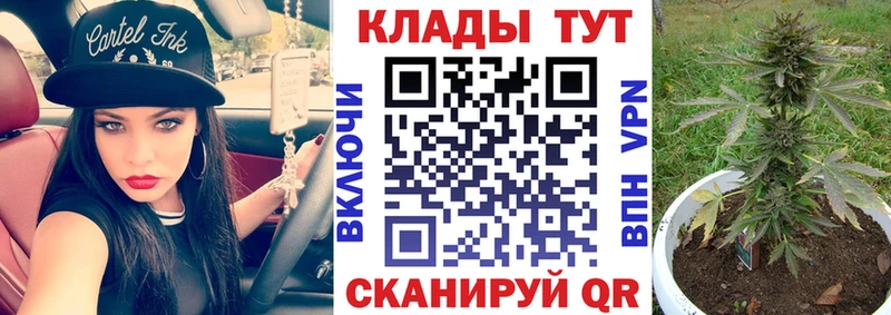 Как найти наркотики Краснообск Бошки Шишки  Меф мяу мяу  мега как войти  Гашиш  КОКАИН 