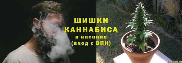 дмт Елабуга