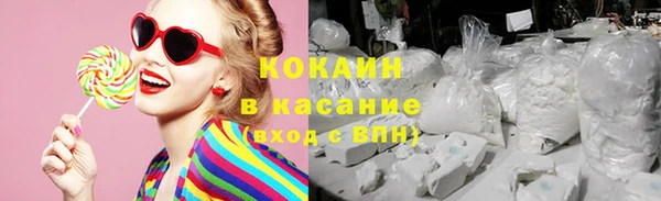 эйфоретик Ельня