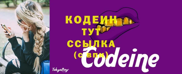 эйфоретик Ельня