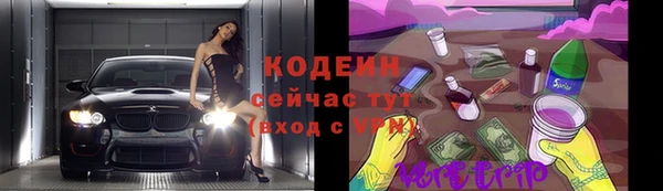 индика Усолье-Сибирское
