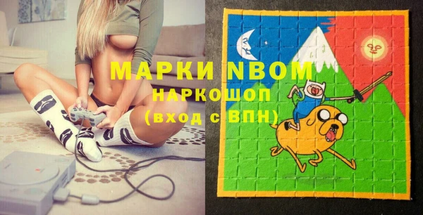 эйфоретик Ельня