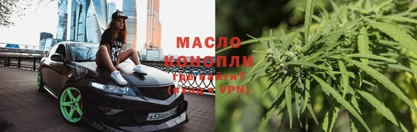 дмт Елабуга